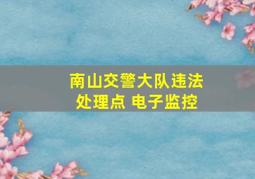 南山交警大队违法处理点 电子监控